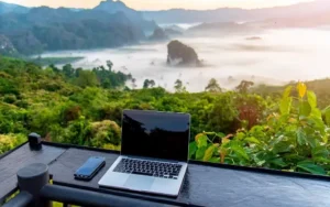 absentee owner acquisition