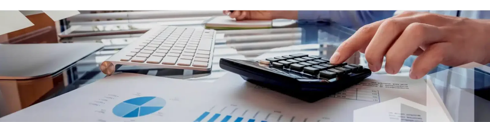 Leveraged Buyouts (LBO)